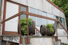 nanu-eingang