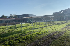 nanu-microfarming