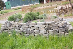 nanu-steinwall